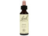 Flores Bach Pine Pino Silvestre 20Ml.