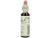 Flores Bach Pine Pino Silvestre 20Ml.