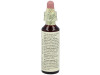 Flores Bach Pine Pino Silvestre 20Ml.