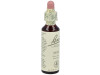 Flores Bach Pine Pino Silvestre 20Ml.