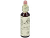Flores Bach Rock Rose Heliantemo 20Ml.