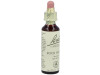Flores Bach Rock Water Agua Roca 20Ml.