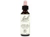Flores Bach Star Of Bethlehem Leche Gallina 20ml - Flores de Bach Originales