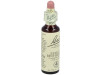Flores Bach Star Of Bethlehem Leche Gallina 20ml - Flores de Bach Originales