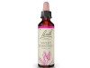 Flores Bach Sweet Chestnut Castaño Dulce 20Ml.