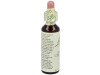 Flores Bach Sweet Chestnut Castaño Dulce 20Ml.