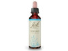 Flores Bach Vervain Verbena 20Ml.