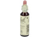 Flores Bach Vervain Verbena 20Ml.