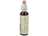 Flores Bach Vervain Verbena 20Ml.