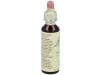 Flores Bach Vervain Verbena 20Ml.