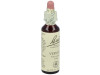 Flores Bach Vervain Verbena 20Ml.