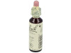 Flores De Bach (32) Vine 20 Ml