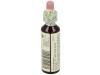 Flores De Bach (32) Vine 20 Ml
