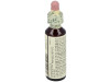 Flores De Bach (32) Vine 20 Ml