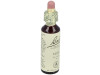 Flores De Bach (32) Vine 20 Ml
