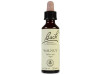 Flores de Bach (33) Walnut - Nogal 20 ml - Flores de Bach Originales