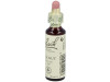 Flores de Bach (33) Walnut - Nogal 20 ml - Flores de Bach Originales