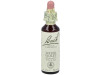 Flores Bach Water Violet Violeta Agua 20Ml.