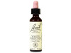 Flores Bach White Chestnut Castaño Indias 20Ml.