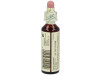 Flores Bach White Chestnut Castaño Indias 20Ml.