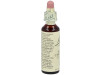 Flores Bach White Chestnut Castaño Indias 20Ml.