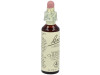 Flores Bach White Chestnut Castaño Indias 20Ml.
