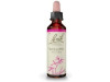 Flores De Bach (38) Willow 20 Ml