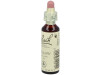 Flores De Bach (38) Willow 20 Ml