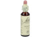 Flores De Bach (38) Willow 20 Ml