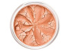 Lily Lolo Colorete Mineral Juicy Peach 3G