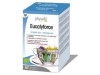 Physalis Eucalyforce Infusión Bio 20Uds