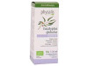 Esencia Eucalipto Globulus 30ml - Physalis