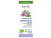 Physalis Aceite Esencial De Tomillo Timol Bio 10Ml