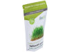 Wheat Grass Raw Jugo De Trigo 200Gr. Bio 2