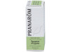 Pranarôm Aceite Esencial Orégano Español 5ml - Pranarom