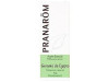 Pranarôm Aceite Esencial de Geranio de Egipto 10ml - Pranarom