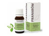 Gaulteria Olorosa Hoja Aceite Esencial Bio 10Ml.