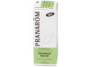 Canela De Ceylan Aceite Esencial Bio 5Ml.