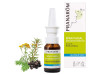 Allergoforce Spray Nasal (15 Ml)