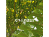 Aktuva AK Control, 60 Caps.– Cantabria Labs