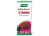 Echinaforce Hot Drink Jarabe para Diluir 100 ml - A. Vogel