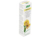 A. Vogel Bioforce Crema 7 Hierbas 35g - A.vogel - Bioforce