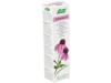 Crema Echinacea 35gr - A.vogel - Bioforce