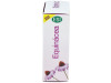 Echinaid Alta Potencia 60Cps