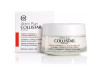 Collistar Attivi Puri Crema Vitamina C + Ácido Ferúlico 50Ml