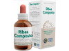 Ribes Composto Extracto 50ml - Forza Vitale