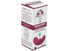 Agnocasto - Sauzgatillo Extracto Fitomater 50Ml