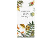Foreste Di Seta Eau de Parfum 100ml - Ferragamo