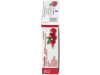 Cistidis 30cap - Dis Productos Naturales