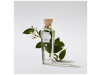Adolfo Dominguez Agua Fresca de Azahar Eau de Toilette 200ml Vap - Puig Lavanda